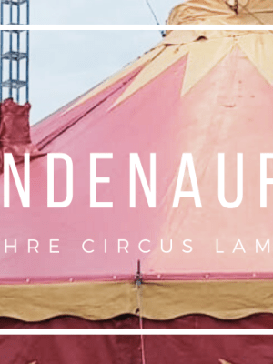 Spendenaufruf 20-jähriges Jubiläum